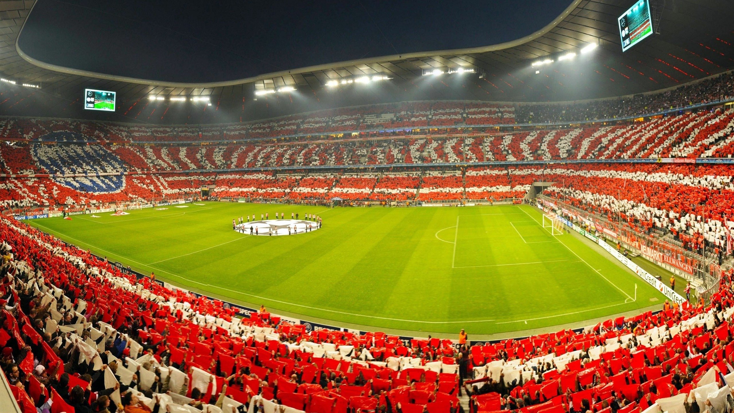 田径马拉松赛事吸引大量参赛者