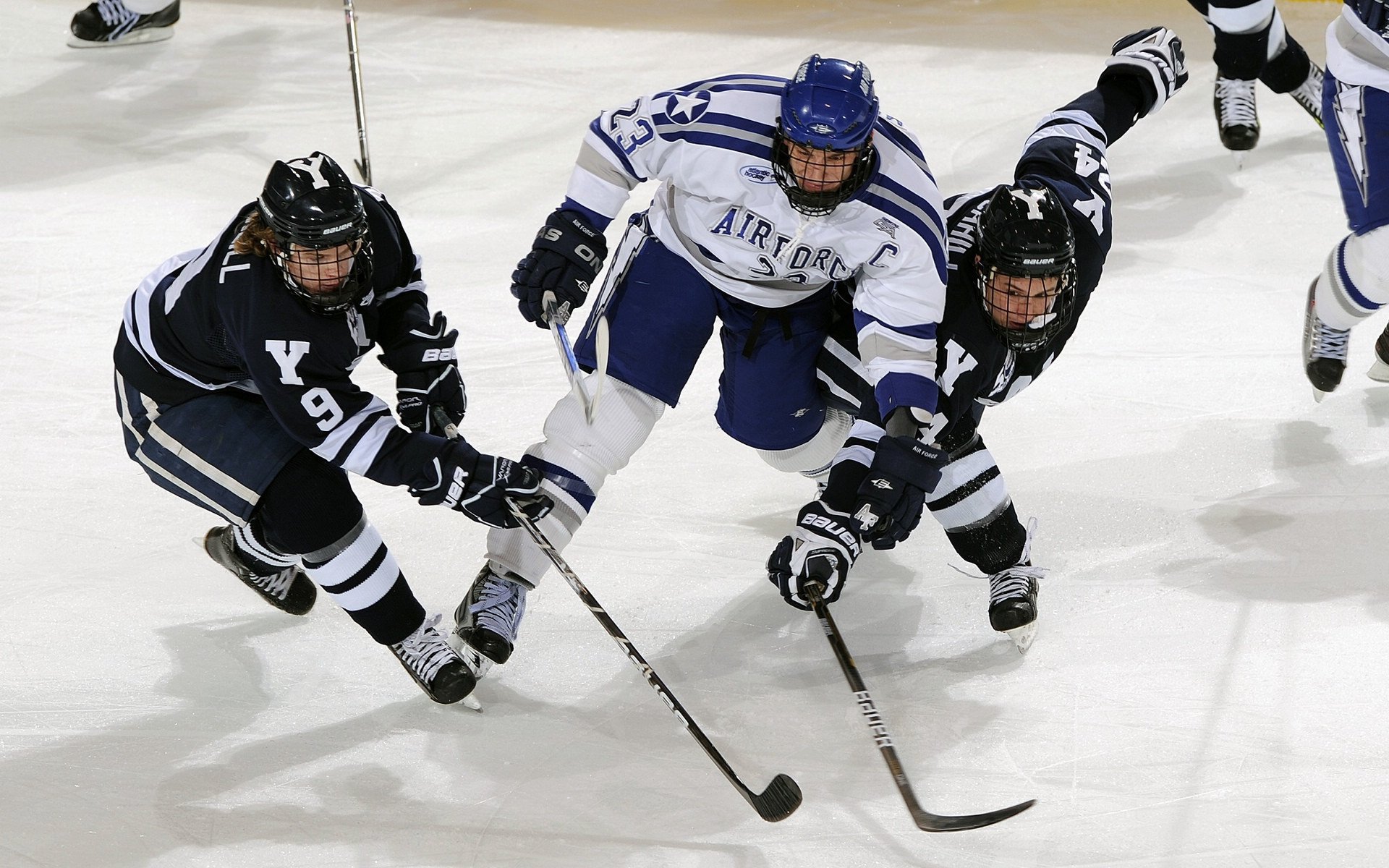 网球世界排名最新更新